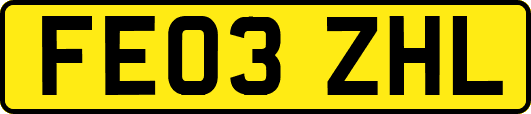 FE03ZHL