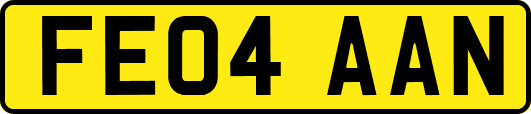 FE04AAN