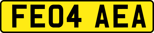 FE04AEA