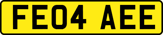 FE04AEE