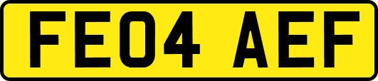 FE04AEF