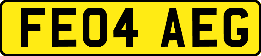 FE04AEG