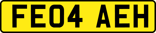 FE04AEH