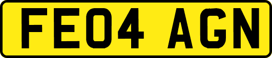 FE04AGN