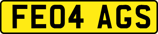 FE04AGS