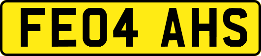 FE04AHS