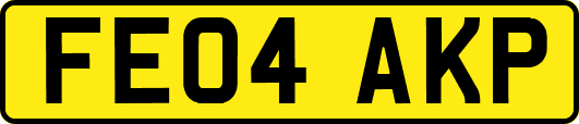 FE04AKP