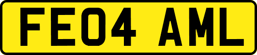 FE04AML