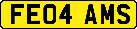 FE04AMS
