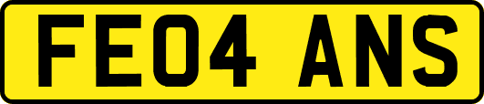 FE04ANS
