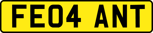 FE04ANT