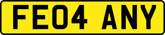 FE04ANY