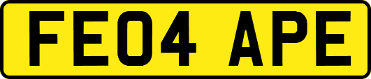 FE04APE