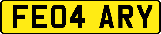 FE04ARY