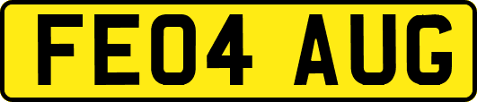 FE04AUG