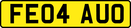 FE04AUO