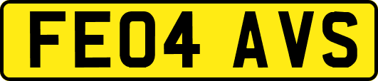 FE04AVS