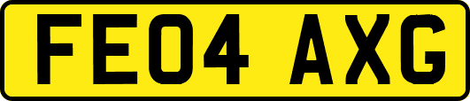 FE04AXG