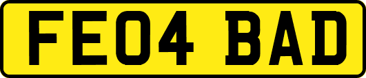 FE04BAD