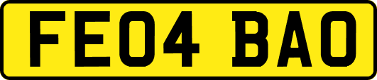 FE04BAO