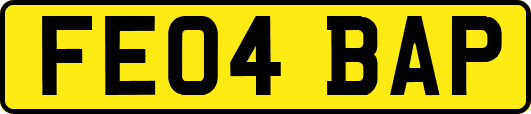 FE04BAP