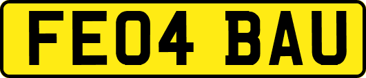 FE04BAU