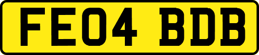 FE04BDB