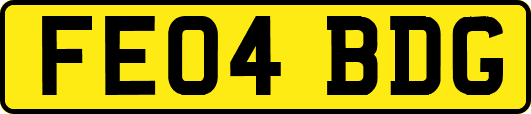 FE04BDG