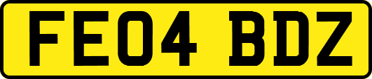 FE04BDZ