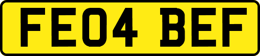 FE04BEF
