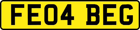 FE04BEG