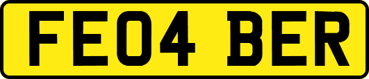 FE04BER
