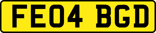 FE04BGD