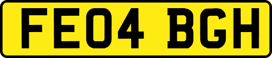 FE04BGH