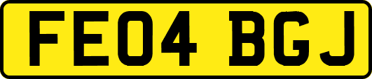 FE04BGJ