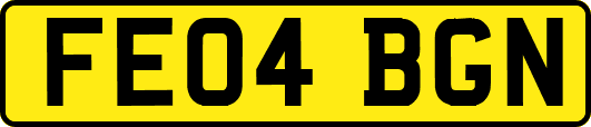 FE04BGN