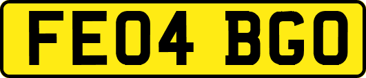 FE04BGO