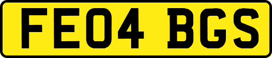 FE04BGS