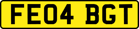 FE04BGT