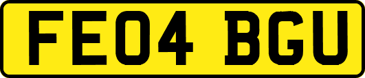 FE04BGU