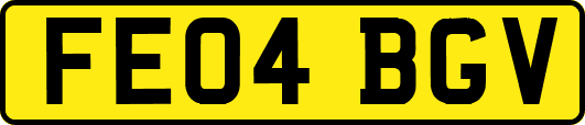FE04BGV