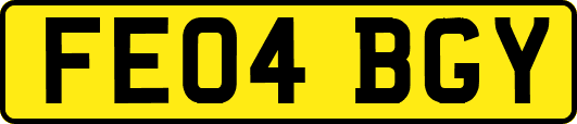 FE04BGY