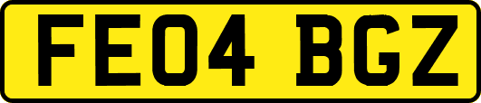 FE04BGZ
