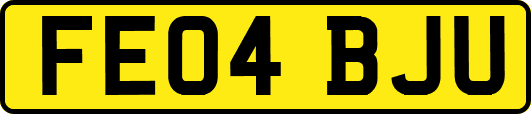 FE04BJU