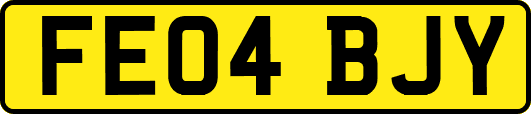 FE04BJY