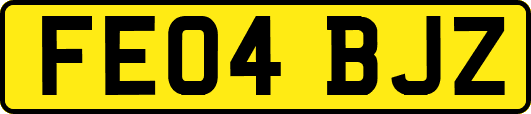 FE04BJZ