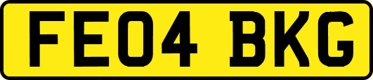 FE04BKG