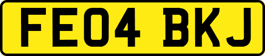 FE04BKJ