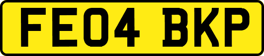 FE04BKP