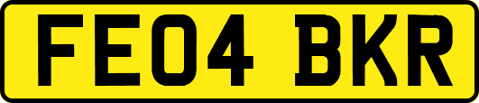 FE04BKR